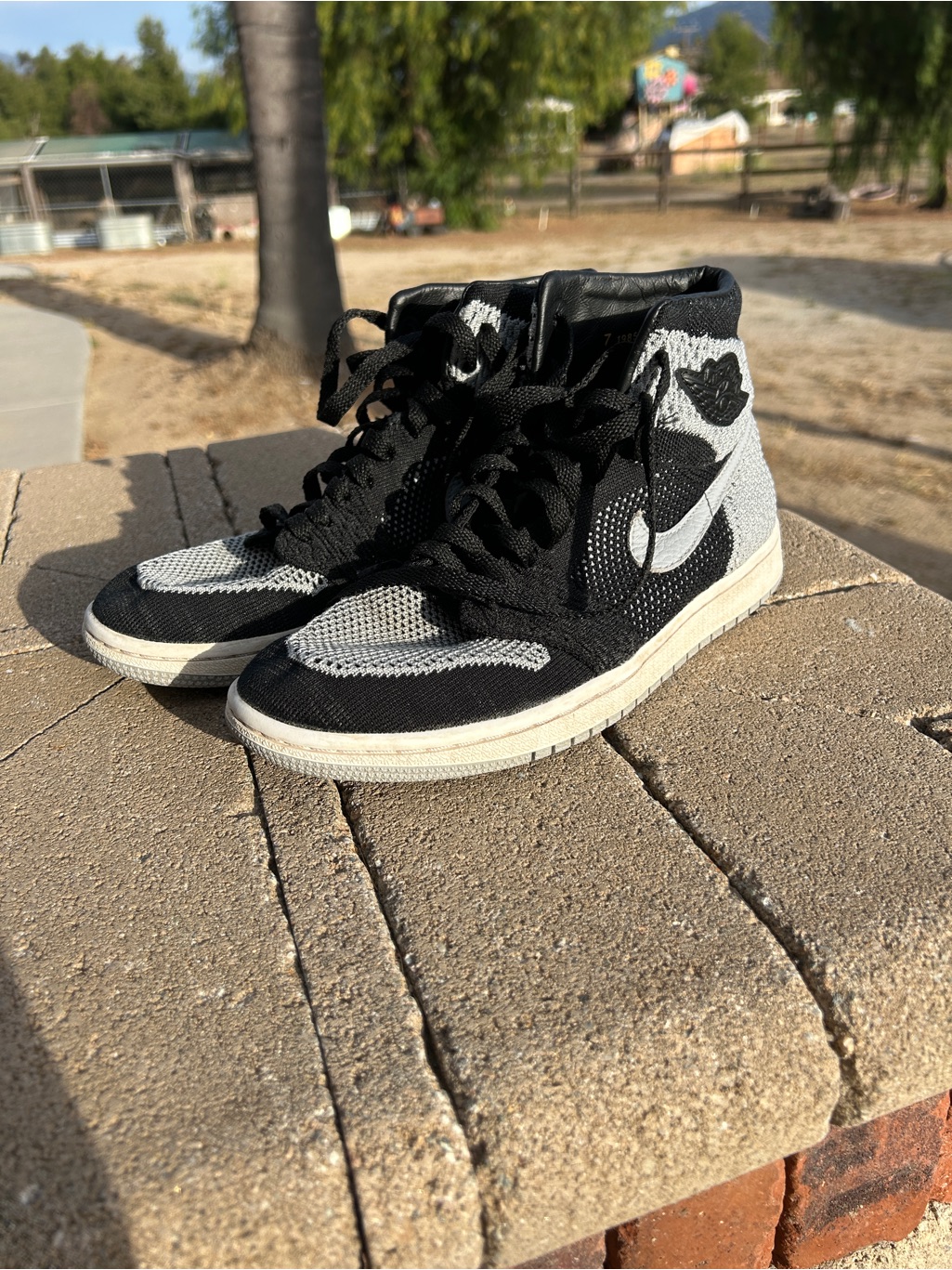Air Jordan’s 1 Retro High Flyknit